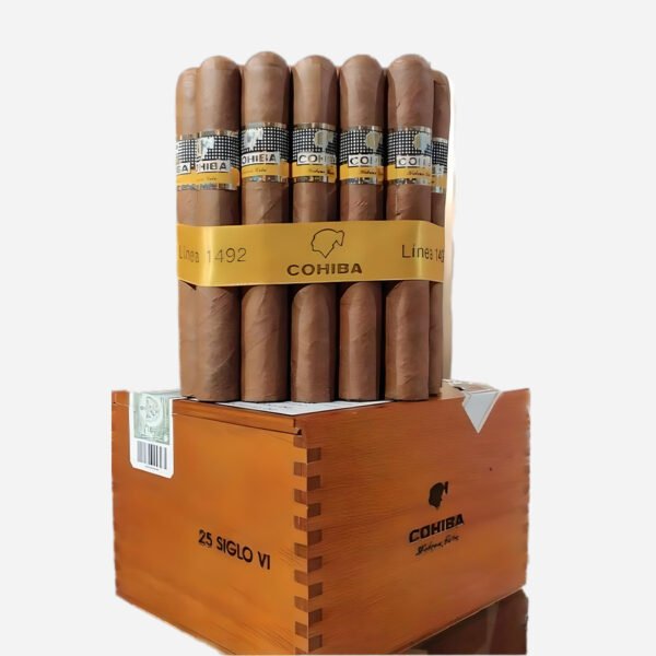 Cohiba Siglo VI